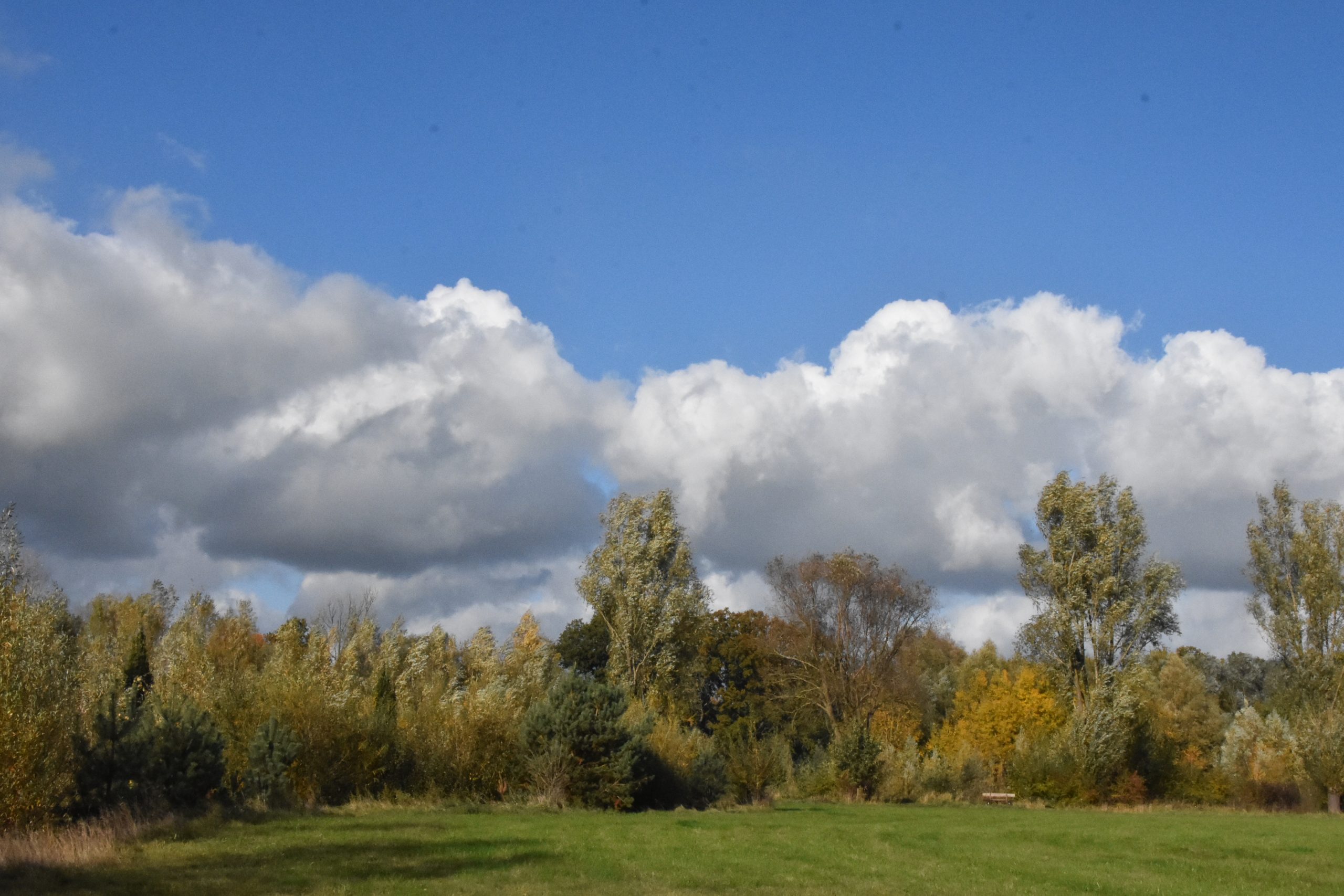 Mehr über den Artikel erfahren Herbstimpressionen